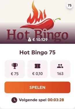 Hot Bingo